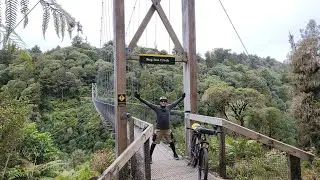 NZ Great Ride: Timber Trail Day two