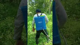 Mag spray muna at masukal na