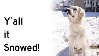 Snow in Prosperity, South Carolina