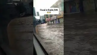 Flood in Dubai,UAE🇦🇪 #shorts #dubai #floodindubai #trendingshorts #youtubeshorts #uaerain #flood