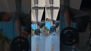 Romanian Deadlift (RDL) vs STIFF #academia #emagrecimento #muscula&ccedil;&atilde;o #hipertrofia #emagrecer #gym