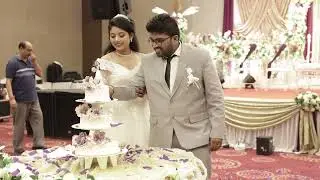 Shriniwas Weds Simran Reception Ceremony