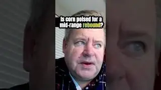 Огромный объем спреда в декабре-марте &mdash; что нужно знать производителям и трейдерам зерна. #торгов...