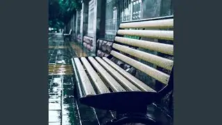 Hushed Rain