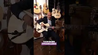De nieuwe generatie Taylor gitaren zijn uitgebracht!🤩🎶 #taylor #taylornewgen