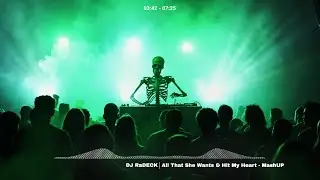 ACE OF BASE & BENNY BENASSI- All that she wants & hit my heart MASHUP DJ RaDeck