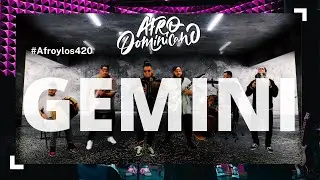 Afro Dominicano  -  Gemini