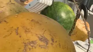 The Art of Coconut Opening in Hawaii