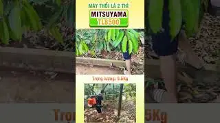 M&aacute;y Thổi L&aacute; 2 Th&igrave; Mitsuyama TL8500 (3,3kw)