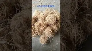 Coconut | Cocopeat | Coconut fibre Uses  #natural #uses #viral