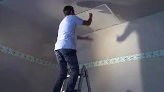 FGM SCALE Scala motorizzata
