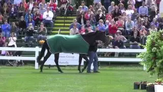 HorseJunkiesUnited.com - Beezie Madden's Authentic's Retirement Celebration