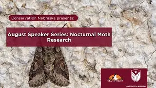 August Speaker Series: Nocturnal Moth Research