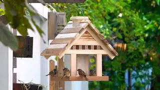 DIY Wooden Bird Feeder From Old Pallets - DIY Woodworking Projects