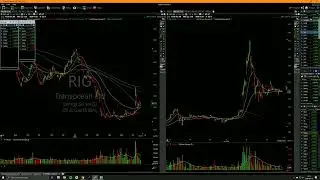 2020100   Frothy market, and I LOVE IT