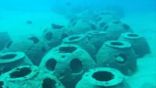 Diving the reef balls on 3 Rocks