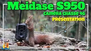 Meidase S900 Trail Camera Review &ndash; Capture Wildlife Like a Pro!