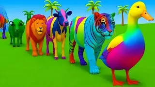 Long Slide game With Cow Gorilla Elephant Tiger Monkey Hippo Cat Duck animation Fun Animals 3D