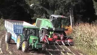 Maisernte mit Kemper C4500 | Deutz Gigant 400 | Spez. Anhänger