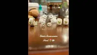 Shein Coquette Accessories Haul 🩰🦢 #coquettehaul #sheinhaul #accessorieshaul