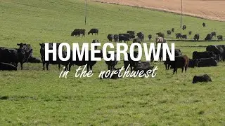 Homegrown- The Herd