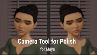 Camera Tool For Polish: for Maya