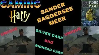 Fishing Planet, sanders baggersee-meer, bighead carp, silver carp