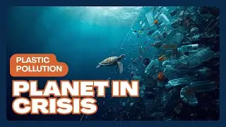 Plastic Pollution: A Planet in Crisis