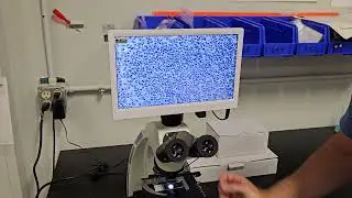 Upgrade Your Microscope with a Simple Heads-Up Display Screen! | Microscope Marketplace