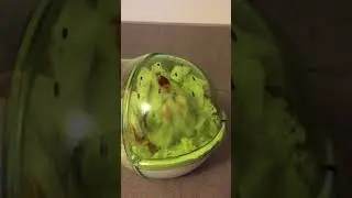 Nick&rsquo;s tongue
