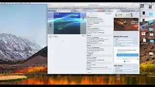 bullying quizard in pokemon showdown