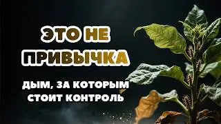 Табак: растение, которое приучает подчиняться