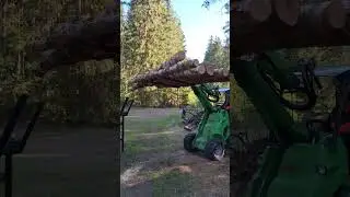 Koivurangat Palax pöydälle.