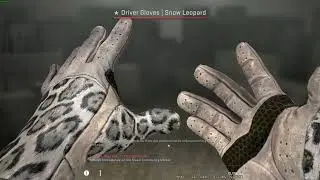Snow Leopard Driver Glove FT unboxing