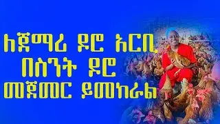 ለጀማሪ ዶሮ አርቢ በስንት ዶሮ መጀመር ይመከራል