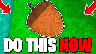 How To GET & USE ACORNS In 99 Nights In The Forest! Roblox