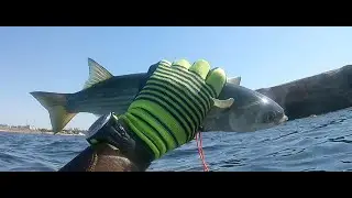Подводная охота в Крыму на Чёрном море .