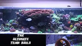 Picking up My New Aquarium - 90 Gallon Reef Savvy Tank  - HUGE MONTI