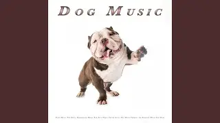 Background Music For Dogs