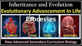 Inheritance And Evolution-12- Circulation, Reproduction, Gaseous exchange, Coordination, Movement