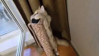 20190530 211503