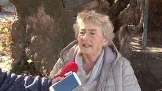 Во Охрид започна реконструкцијата на плоштадот кај Стариот Чинар