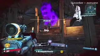 Borderlands 2, gunzerking. Gotta love it
