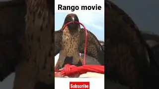 #Rango🦎 movie review #animation #moviereview #tamil #shortsfeed #kollywood #hollywood