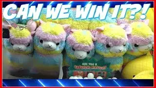 Can We Win A Rainbow Alpaca At Round 1 Arcade? Ufo Catcher ArcadeJackpotPro