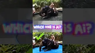 The ULTIMATE AI Animal Challenge! (98% Fail)  🤖 vs 🐶