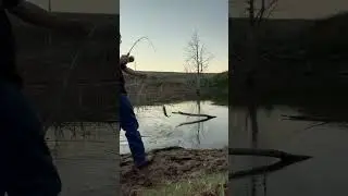 Fishing #Fun #PondLife