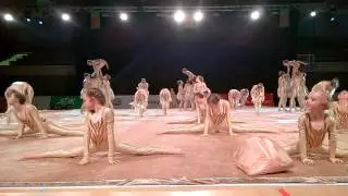 Bewegte Wüste - Green Spirits- Finale in Göttingen bei Turnfest 2016