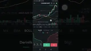 BONE TOKEN NEDİR