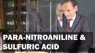 Nitroaniline and Sulfuric Acid